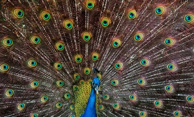 Zoológico de Barranquilla