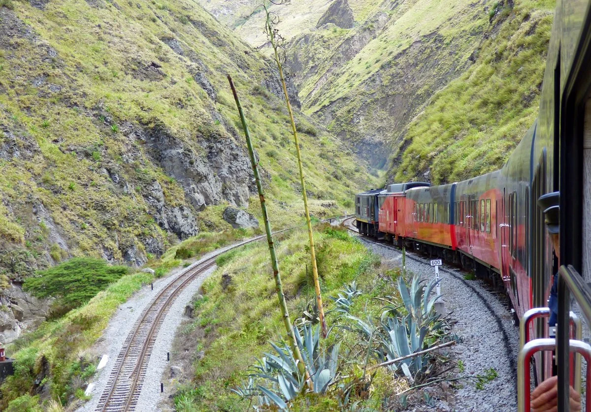 Tren Crucero