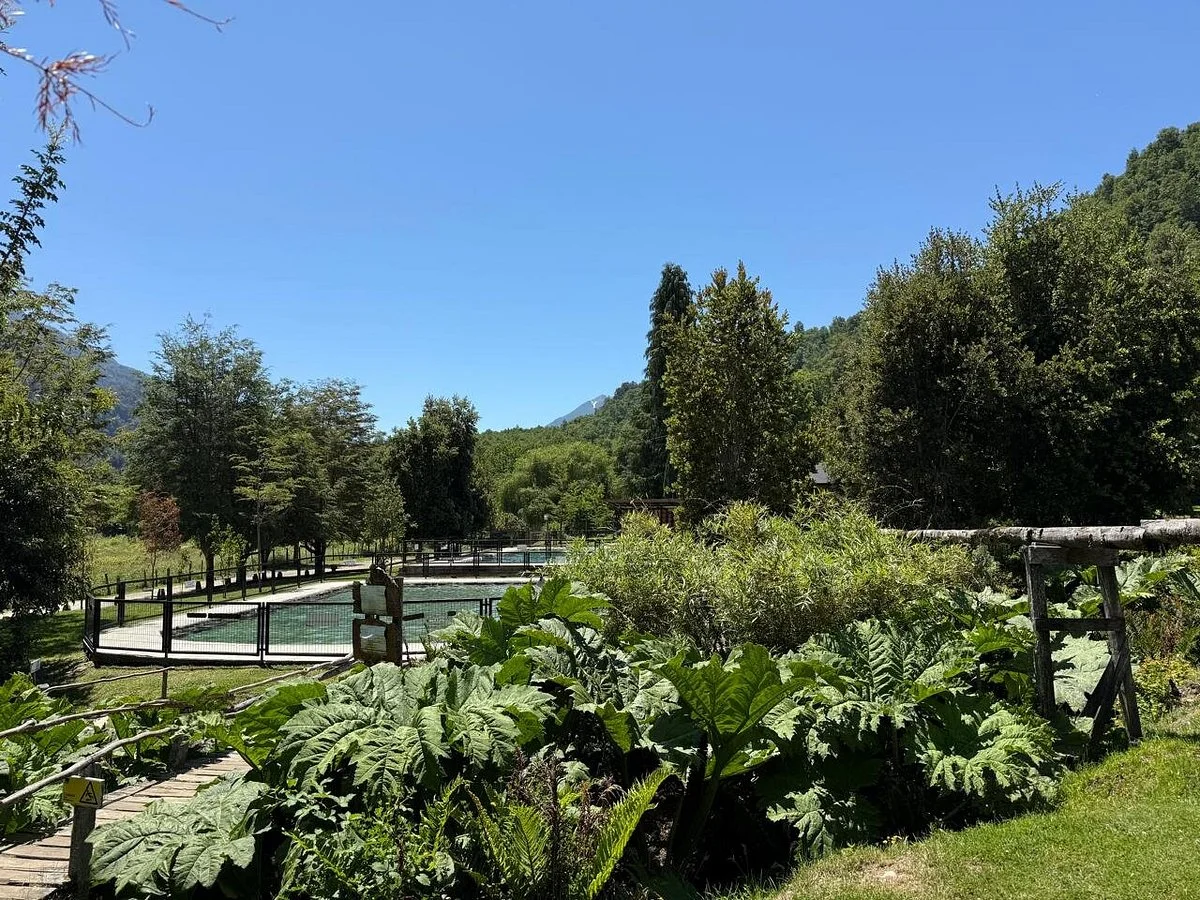 Termas De Chihuio