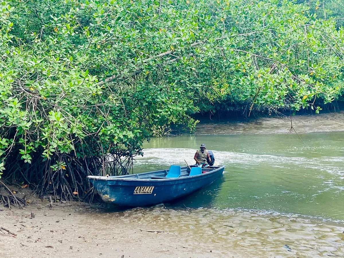 Santuario Nacional Manglares de Tumbes