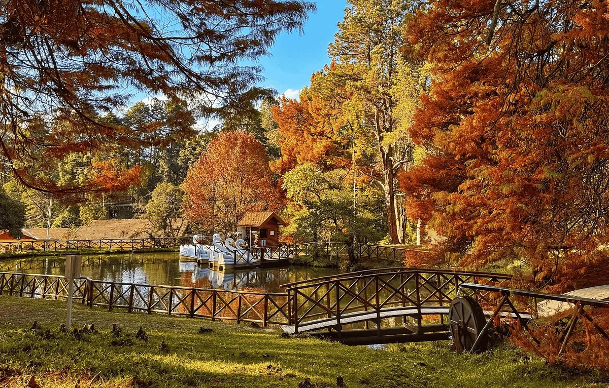 Parque Estadual Campos do Jordao