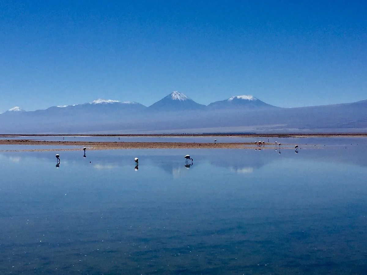 Reserva Nacional de Flamencos