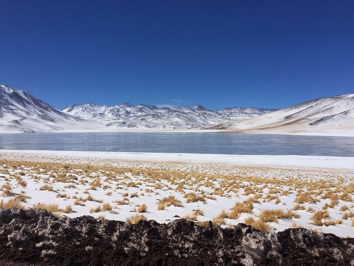 Laguna Chaxa