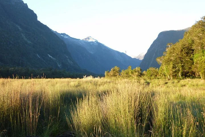 Hornopiren National Park