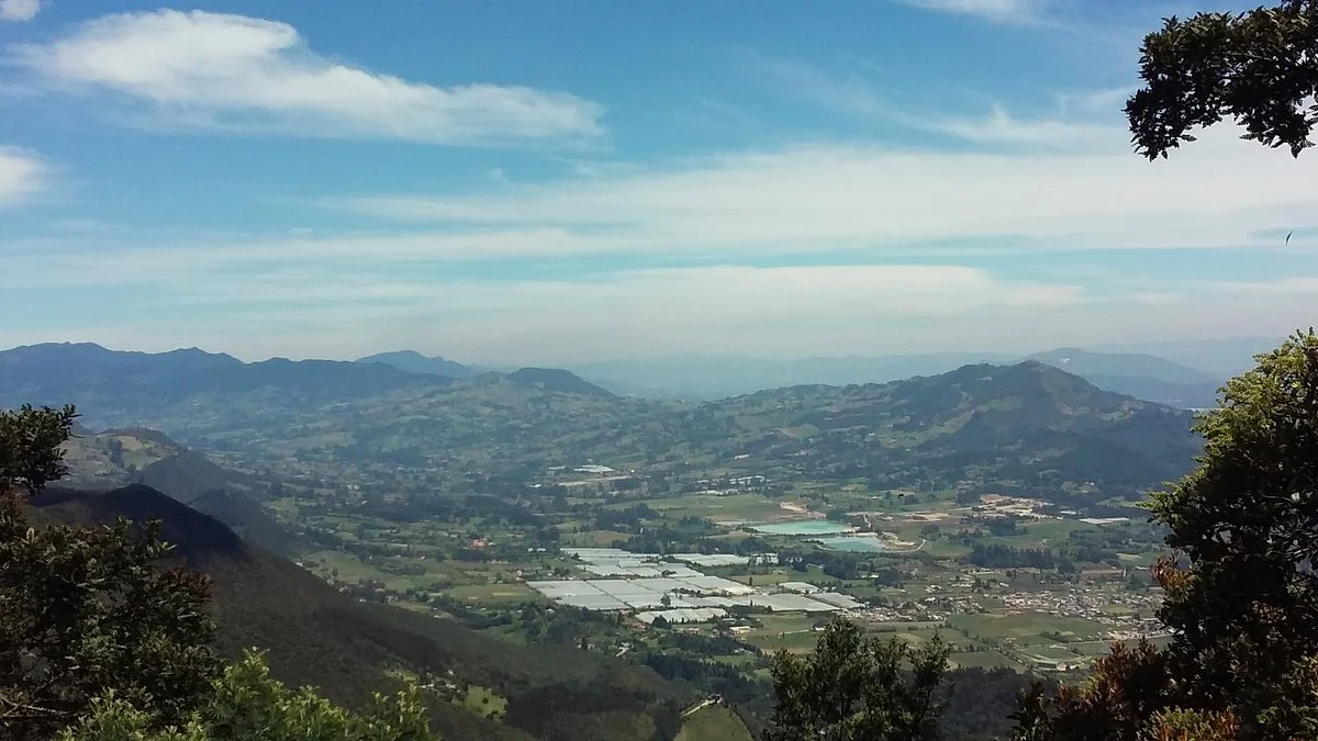 Pena de Juaica