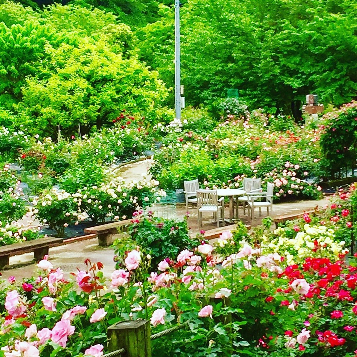 Nishiyama Park
