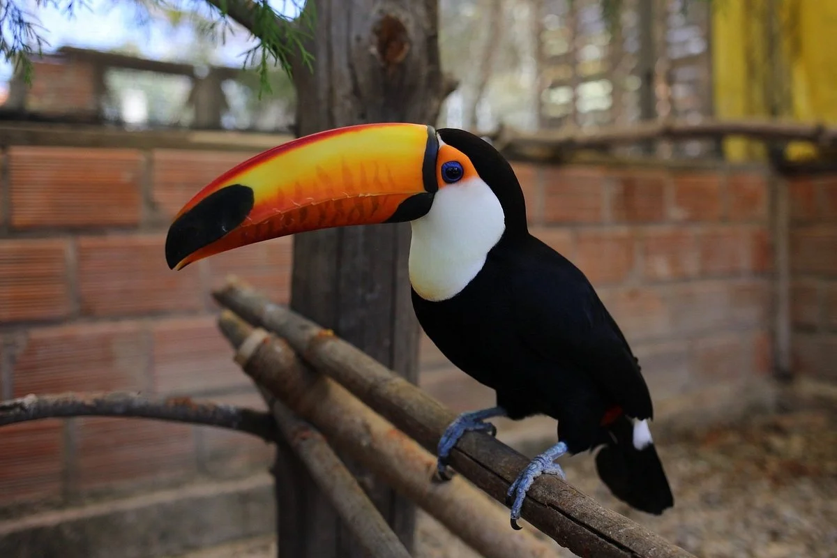 Parque de las Aves Agroflori