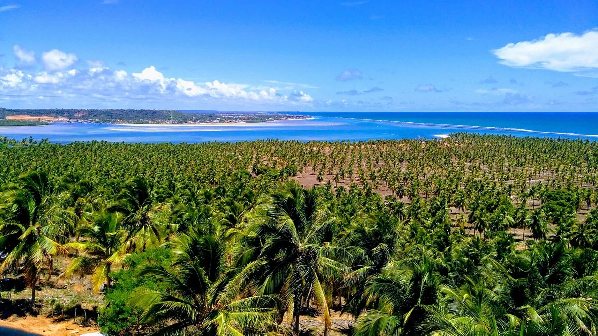 Mirante do Gunga