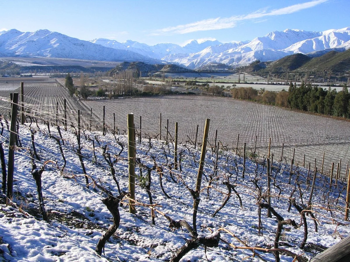 Vina San Esteban