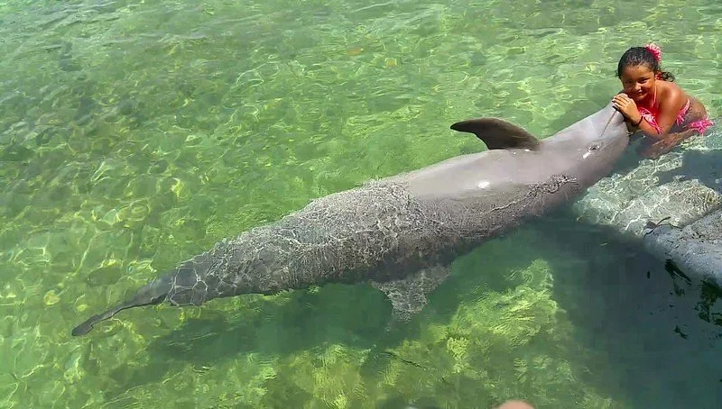 Oceanario
