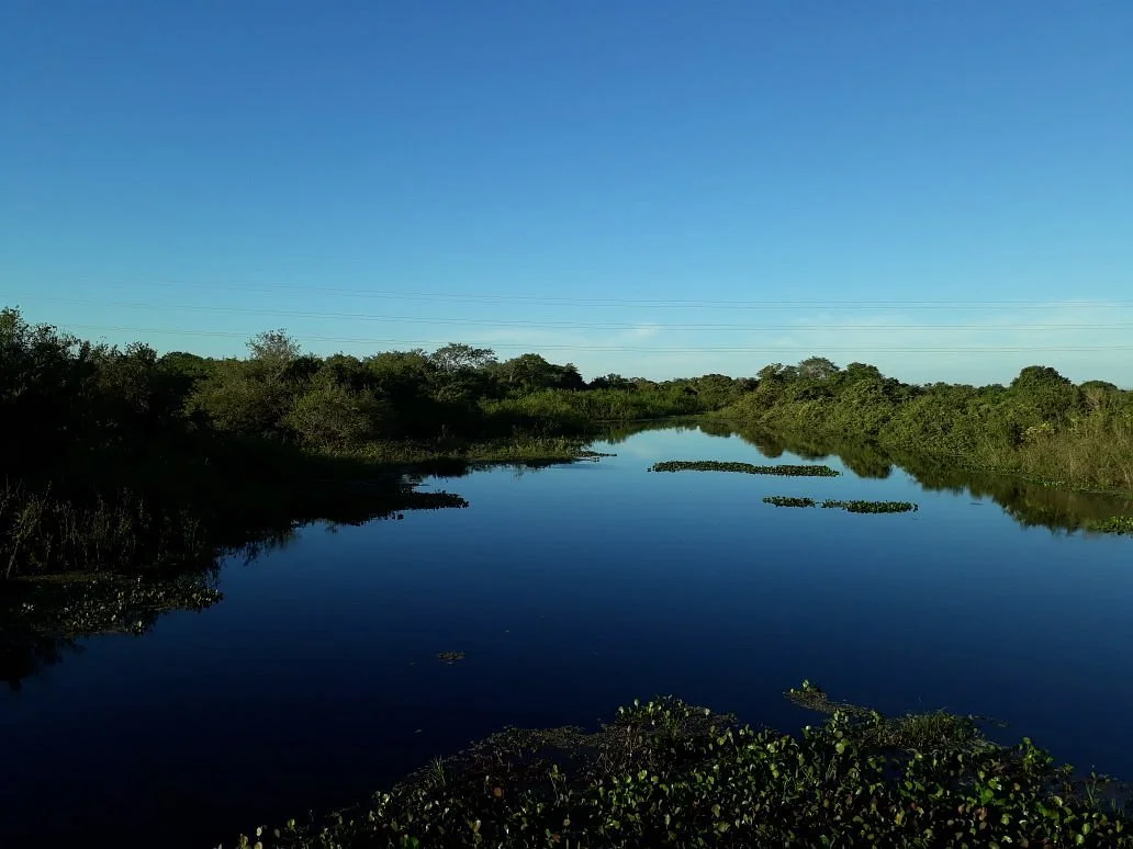 Estrada Parque do Pantanal