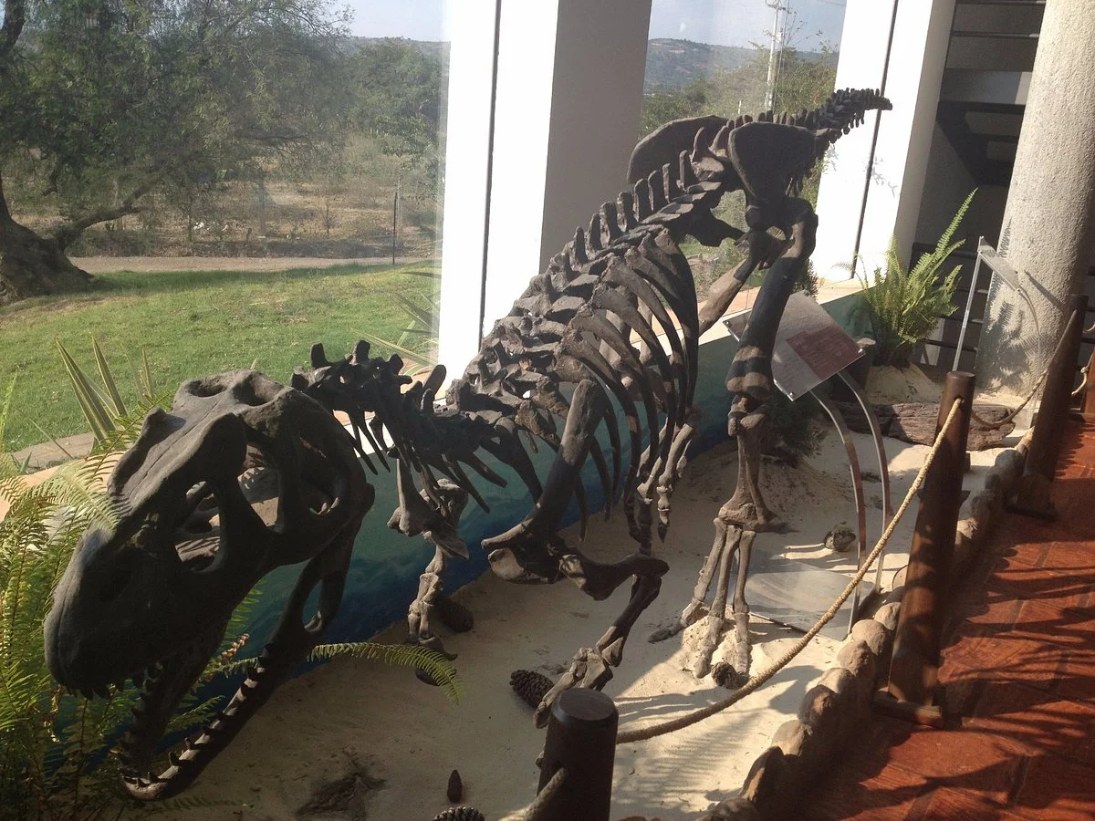 Museo Paleontologico de Villa de Leyva