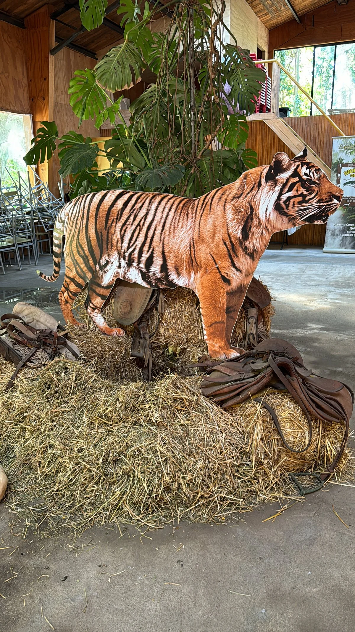 Bioparque Quillon
