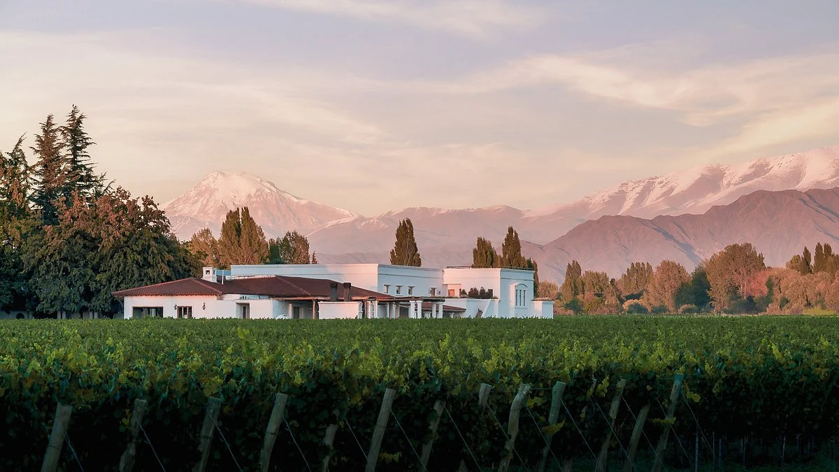 Bodega Nieto Senetiner