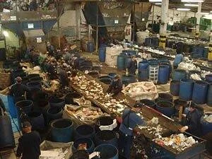 Museum of Garbage