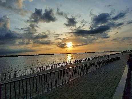 Malecon Leon Caridi