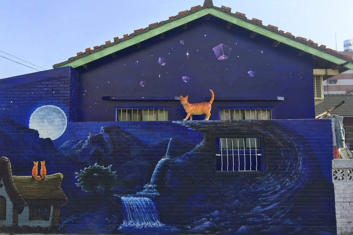 Cats on the roof