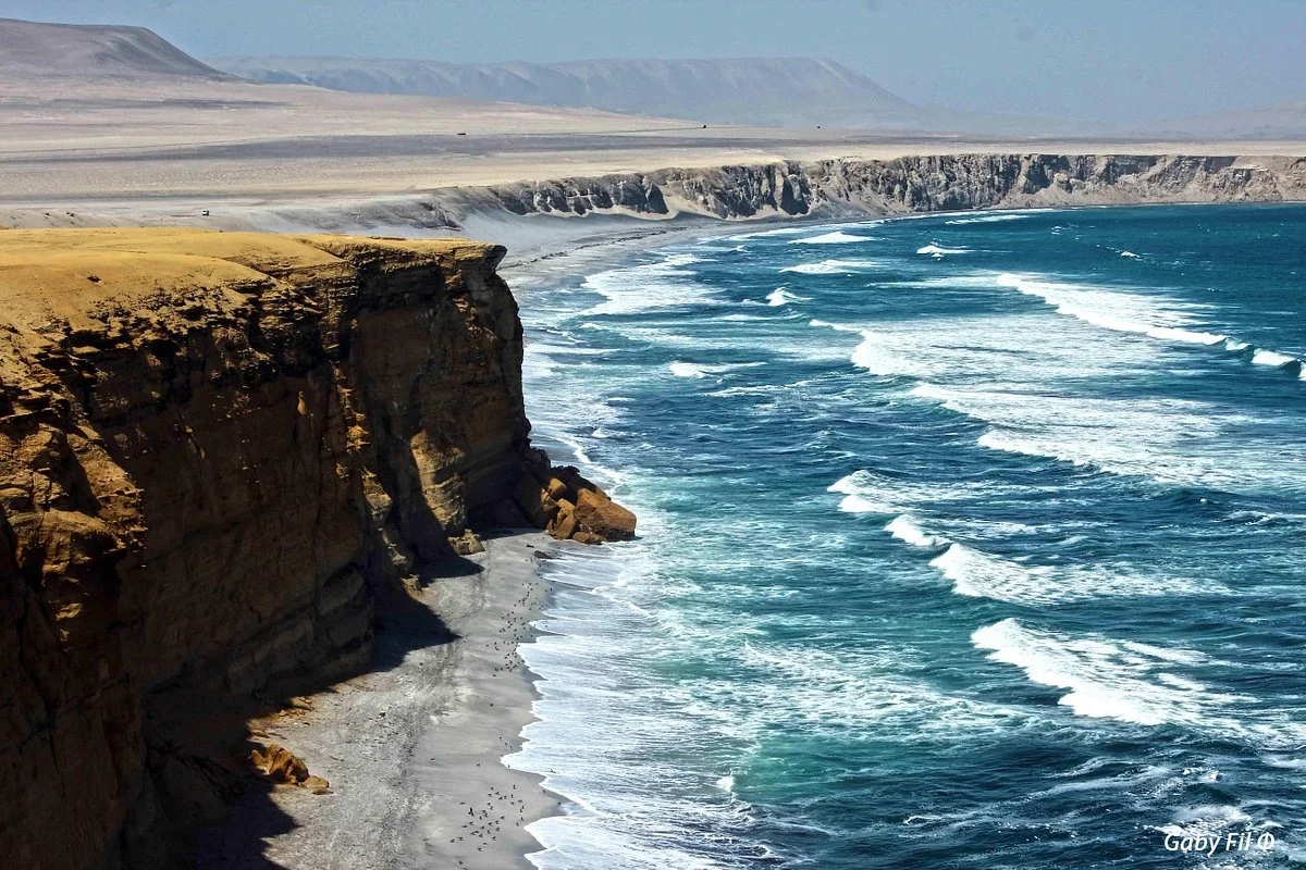Paracas National Reserve