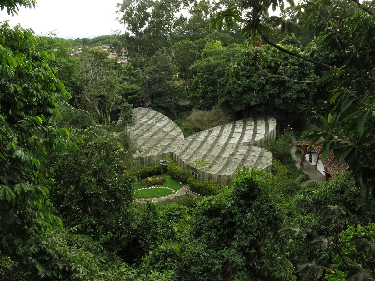 Jardin Botanico del Quindio