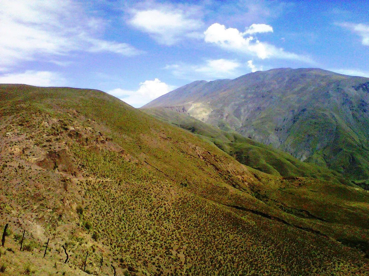 Piedra del Molino