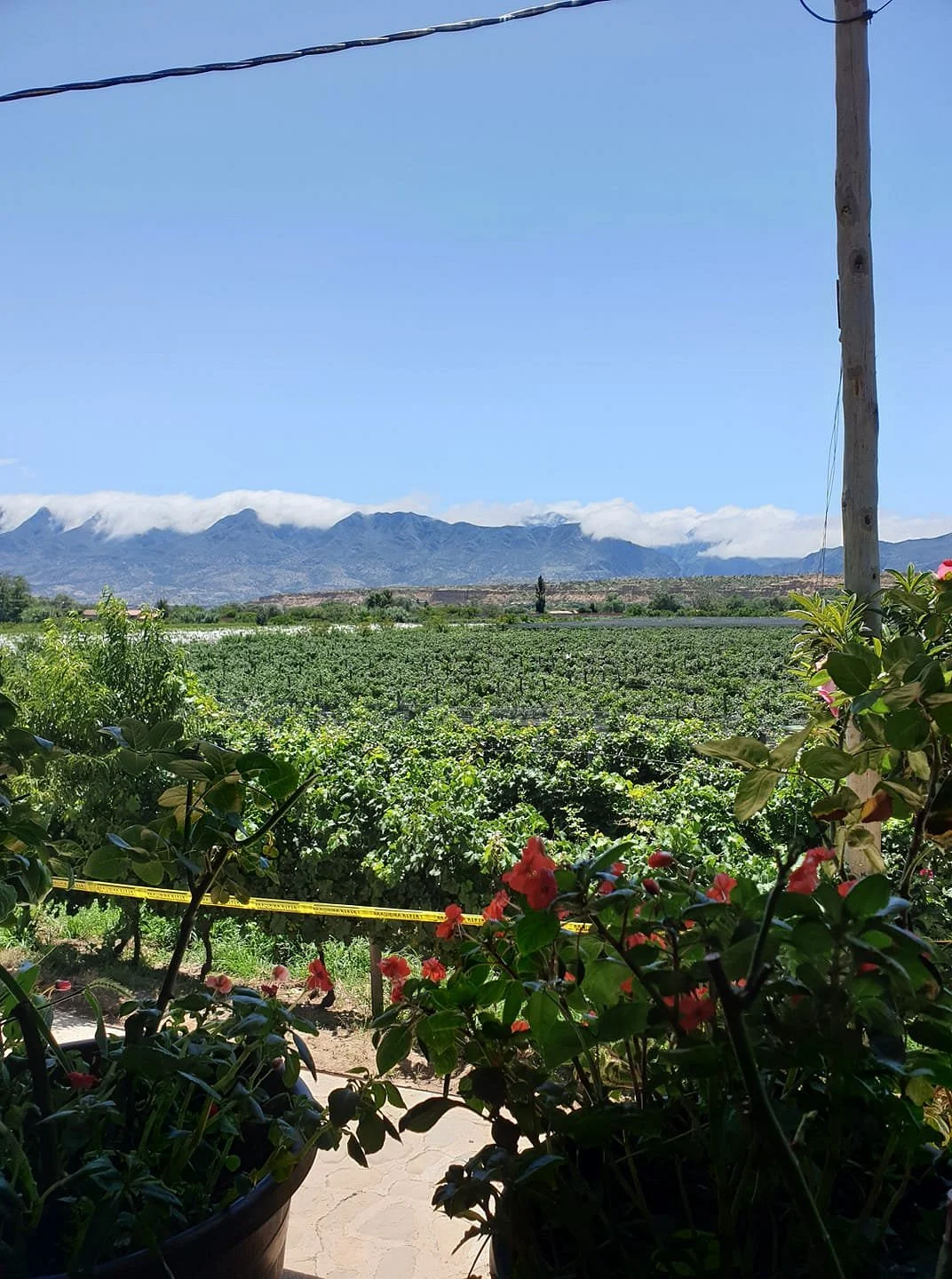 La Casa Vieja