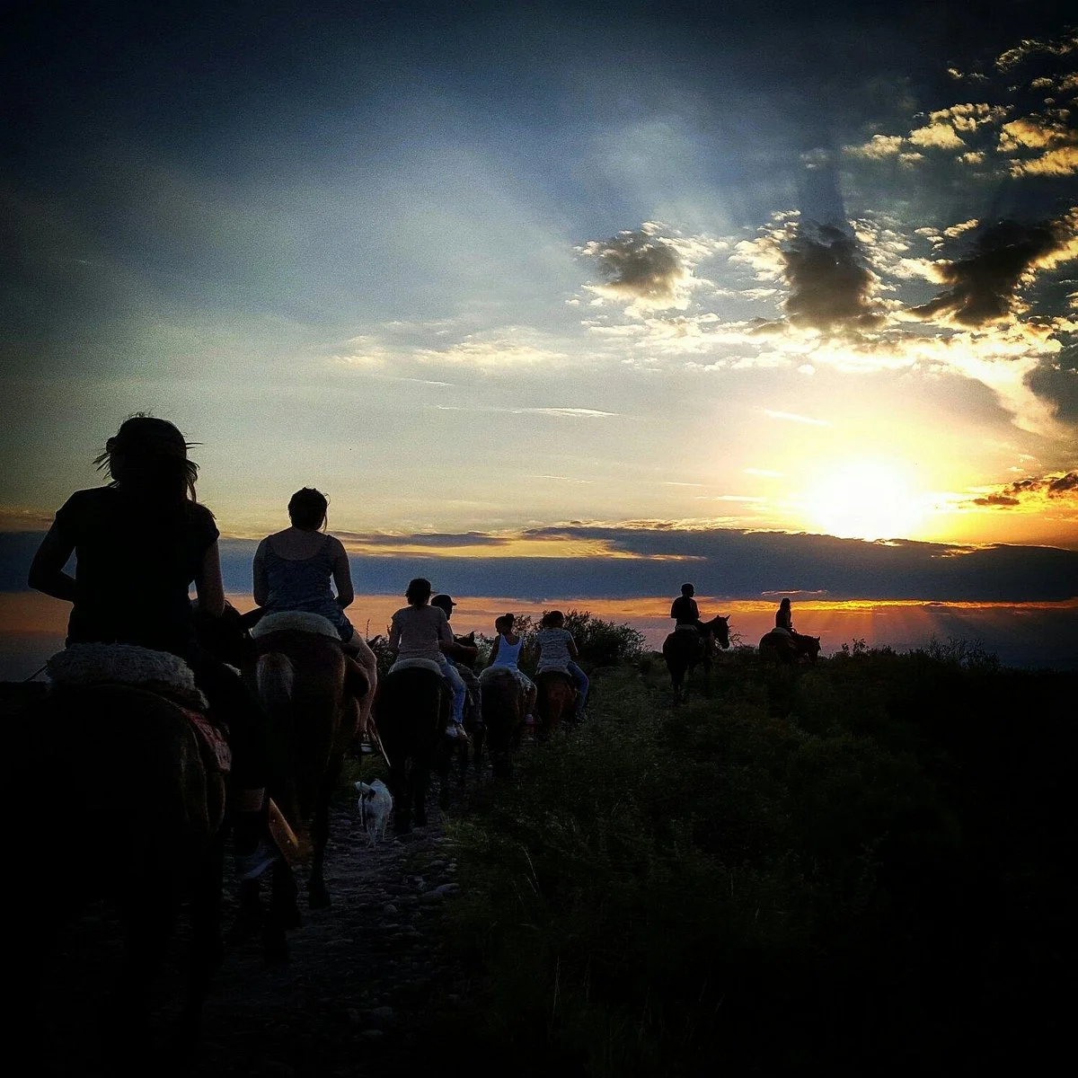 Los Pingos Horse Riding