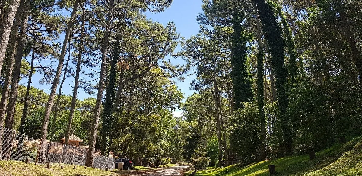 Reserva Natural