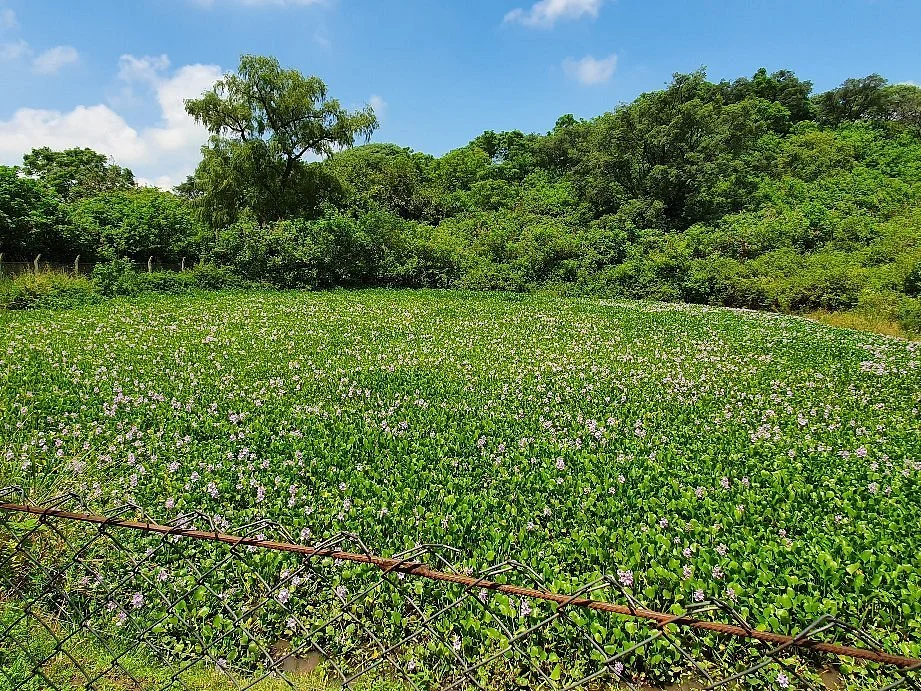 Reserva Experimental Horco Molle