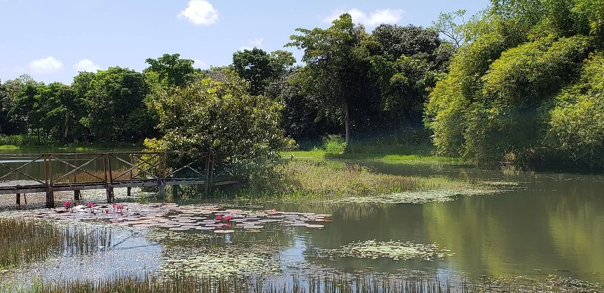 Zoologico Municipal Sargento Prata