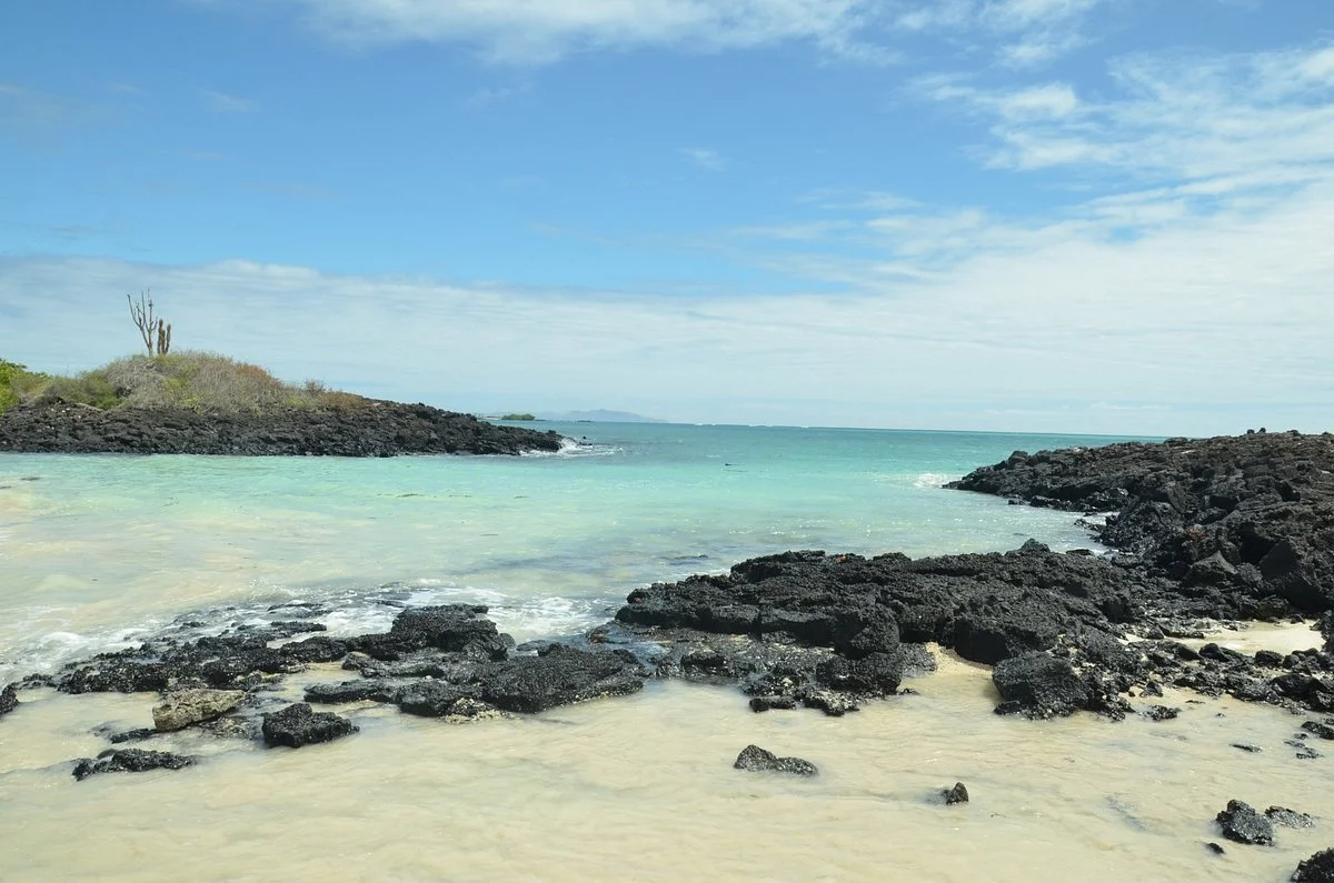 El Garrapatero