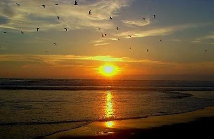 Playa Chinchorro