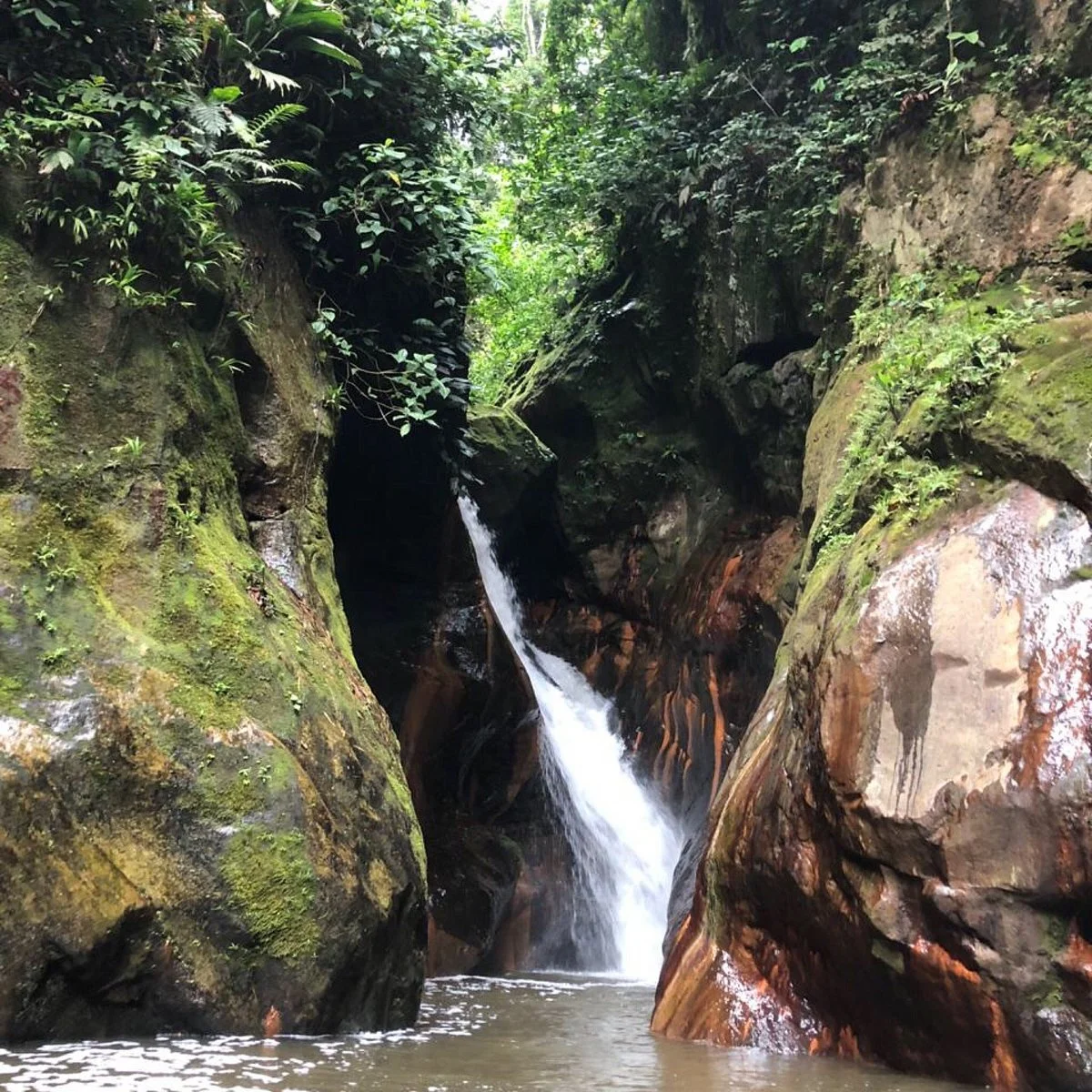 Cascadas de Pishurayacu