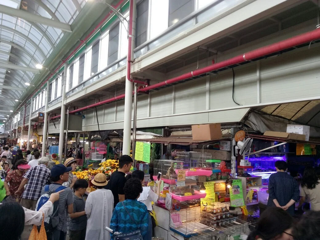 Jeju City Traditional Five Day Market