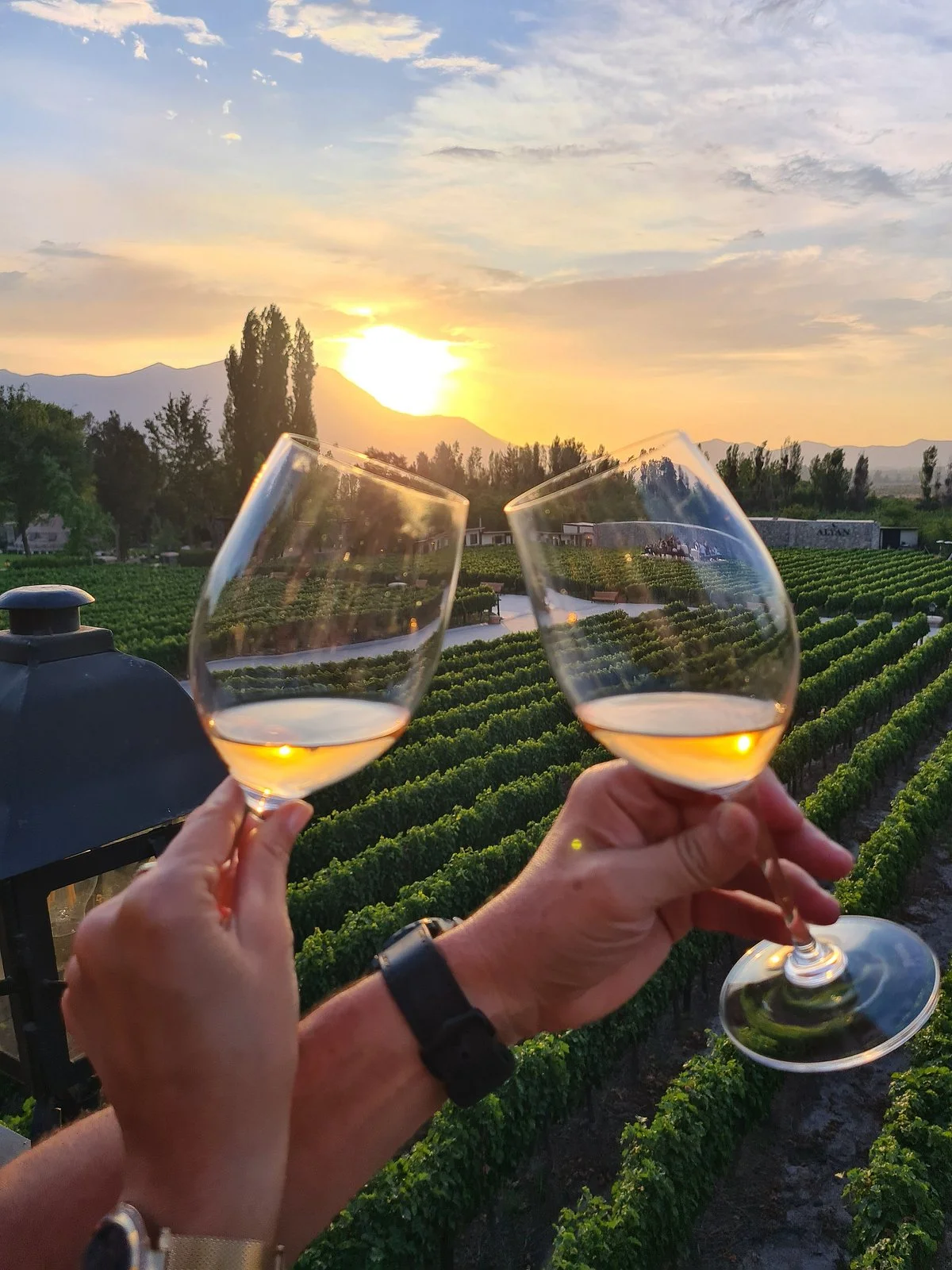 Alyan Family Wines