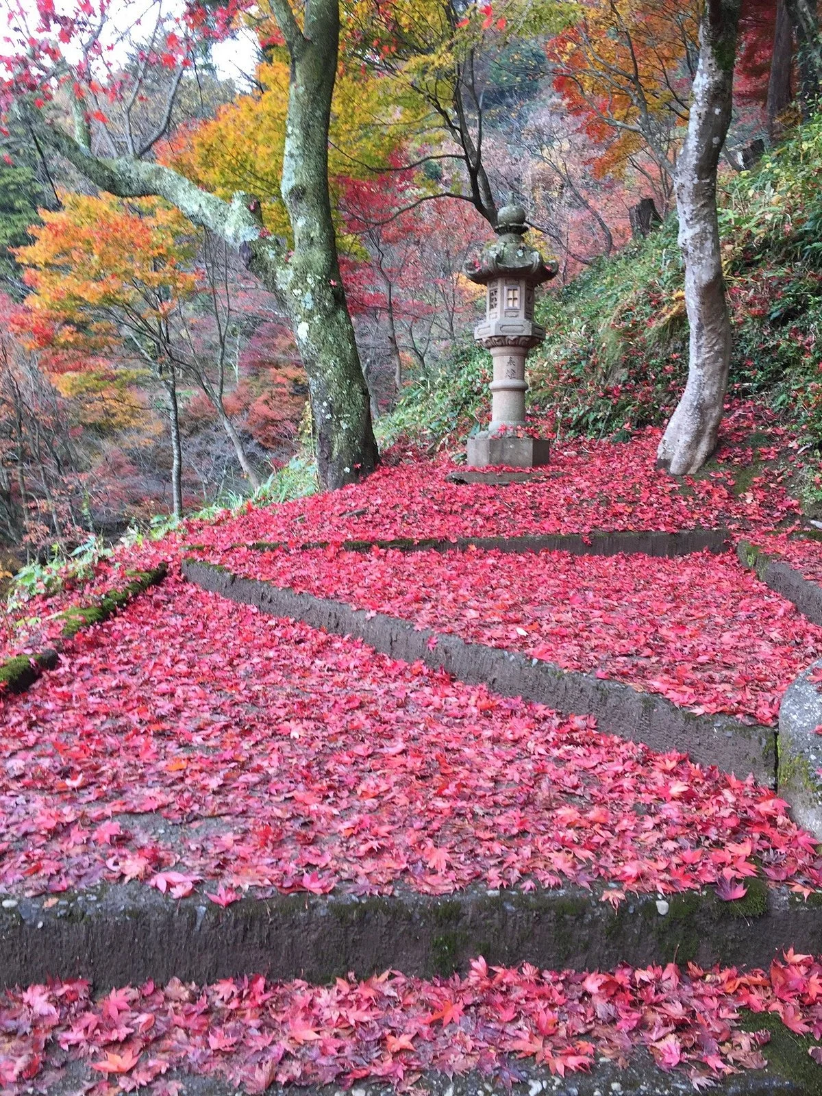 Kakyo Park