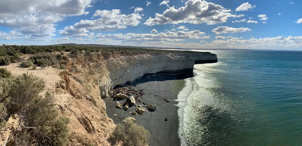 Loberia de Punta Loma