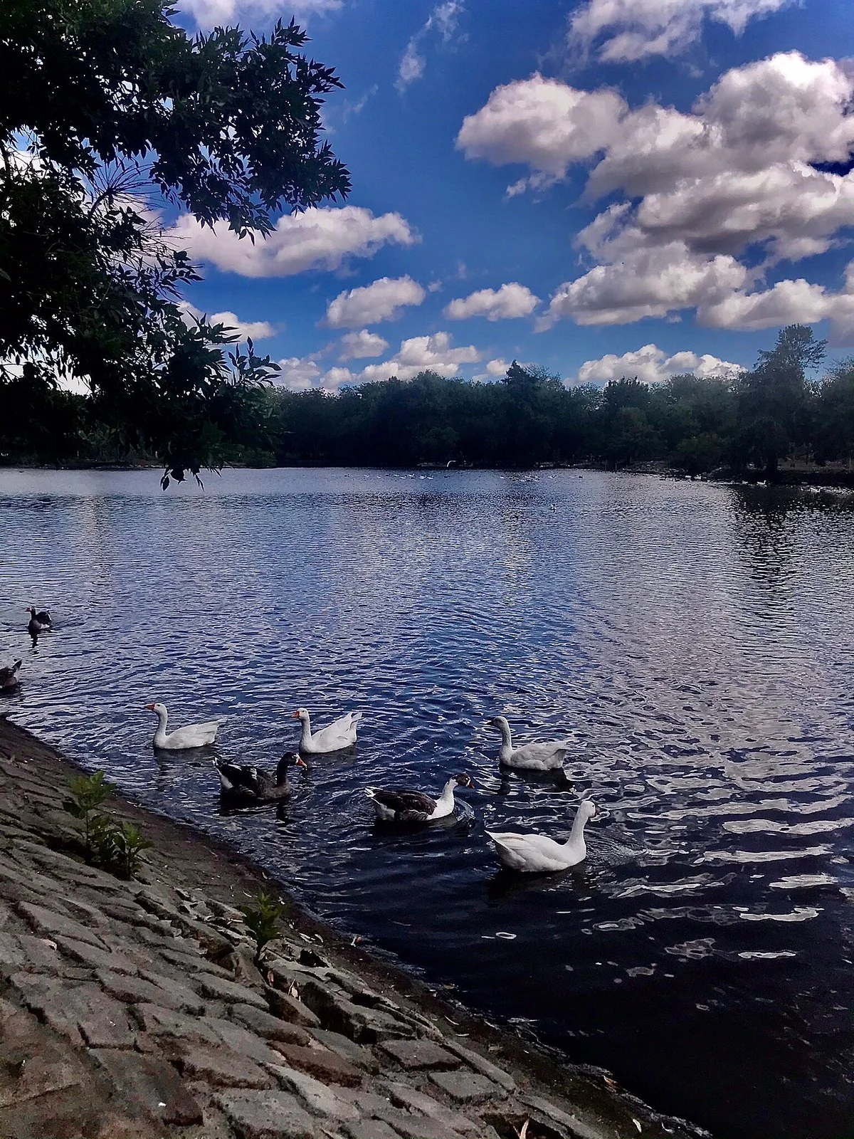 Parque Unzue