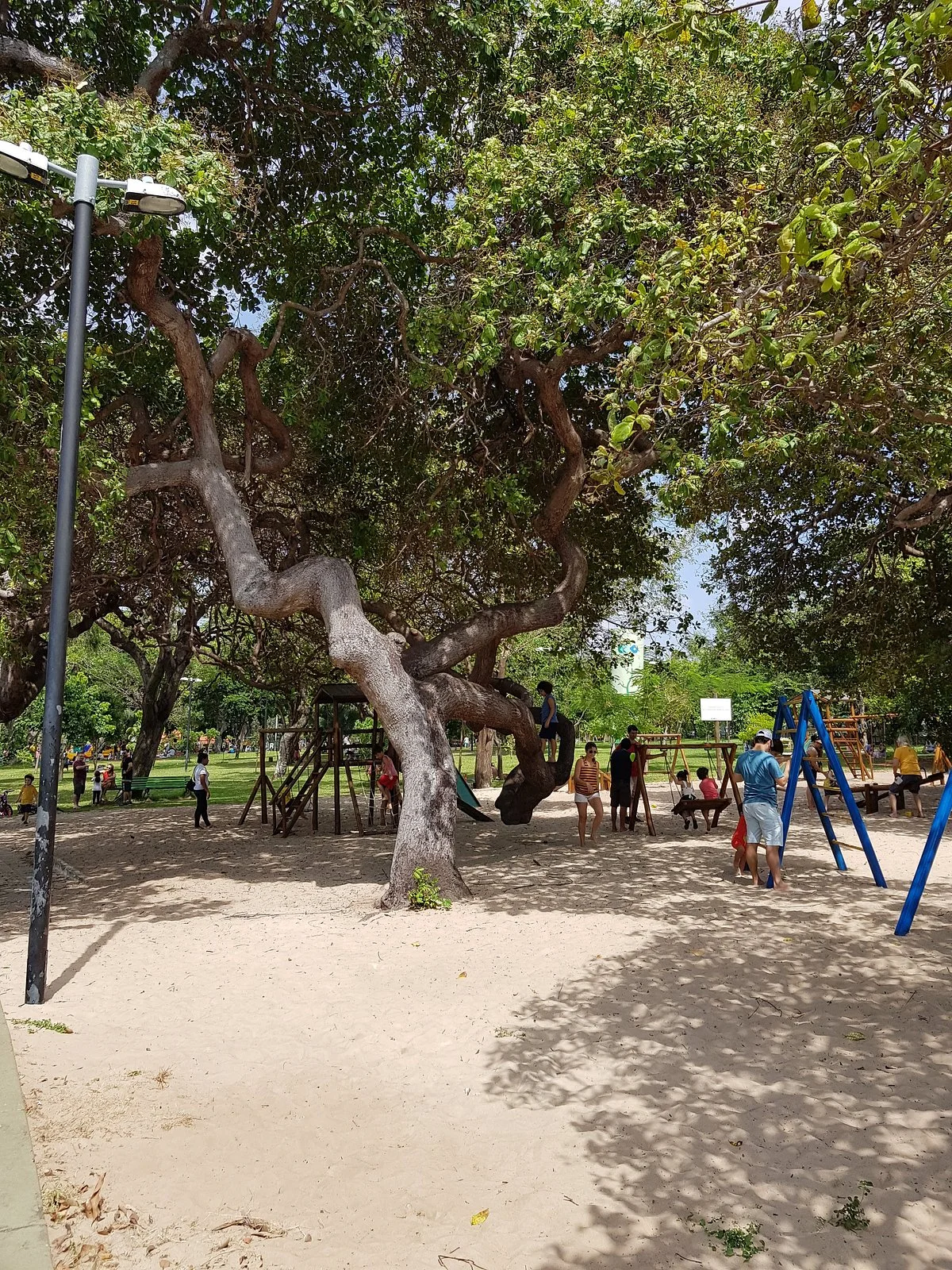 Adahil Barreto Park