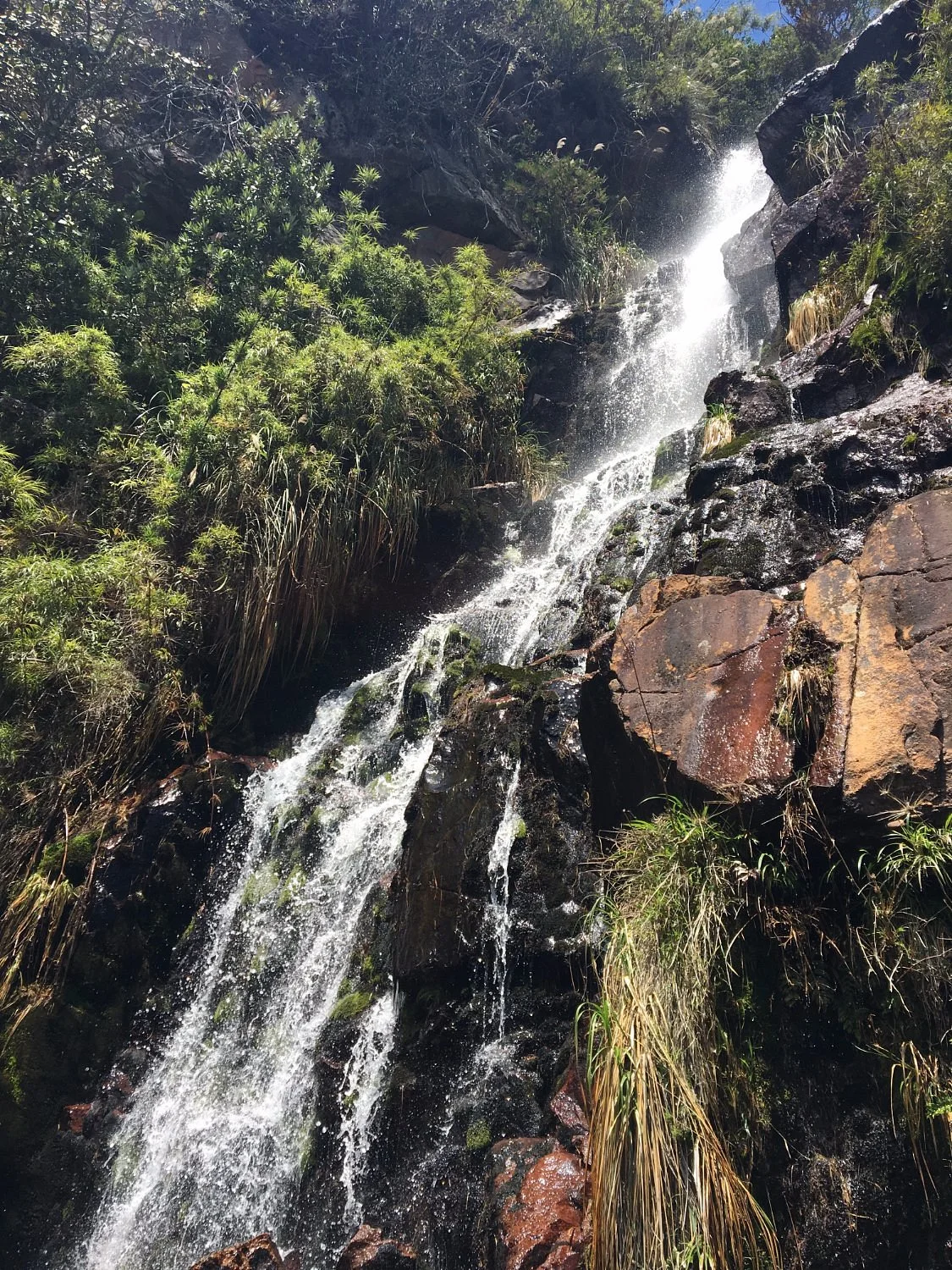 Sendero Ecologico la Zarza