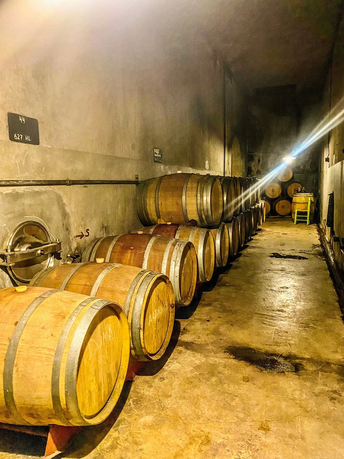 Bodega Pulmary