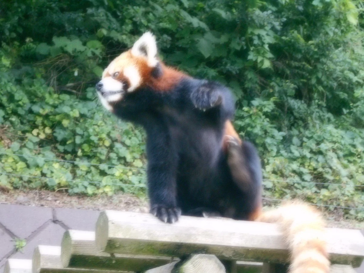 Nishiyama Zoo