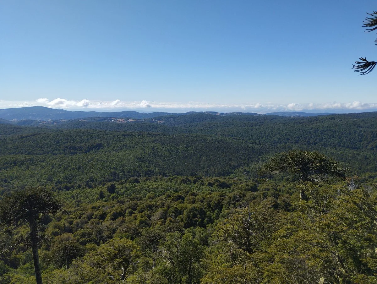 Parque Nacional Nahuelbuta