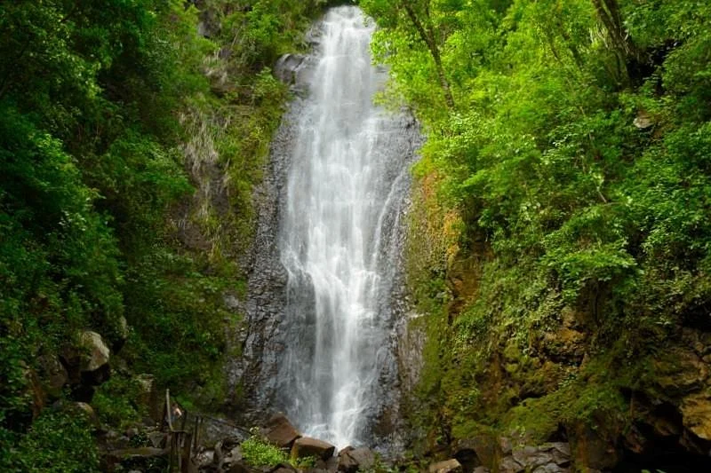 Cachoeira do Martelo