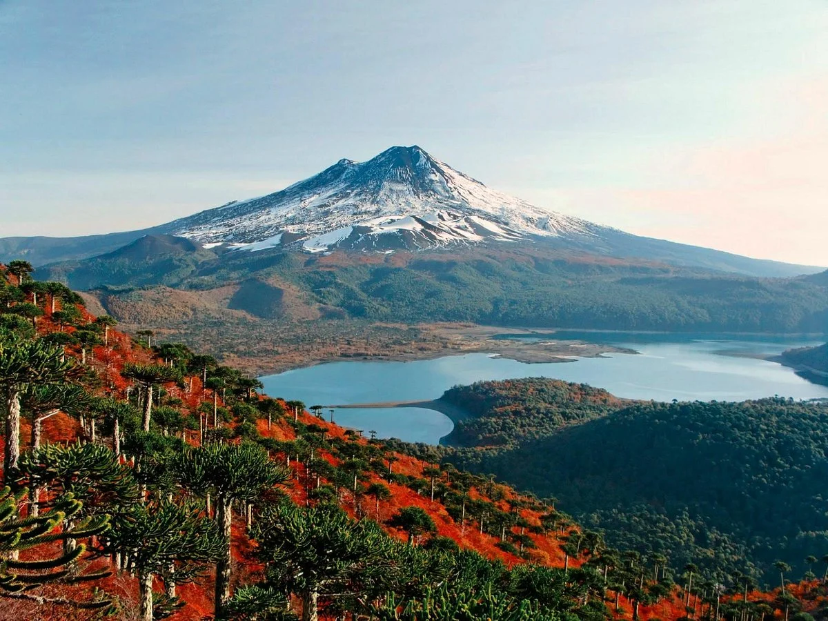 Conguillio National Park