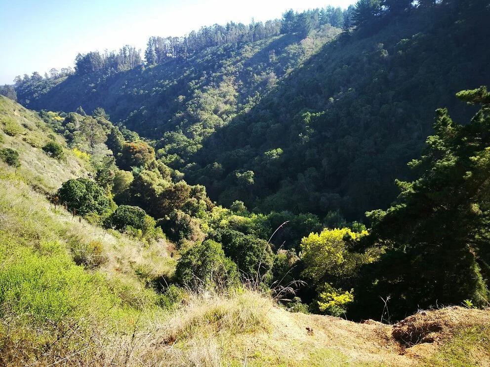 Quebrada de Cordoba