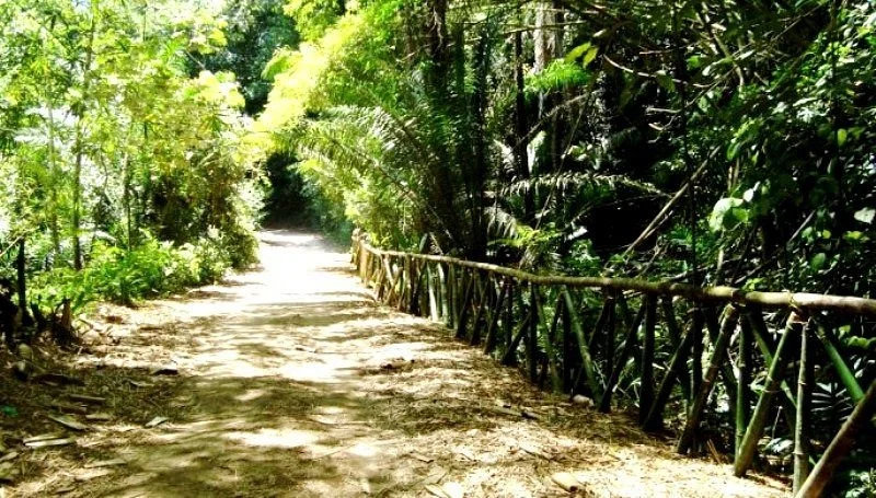 Parque municipal de Maceio