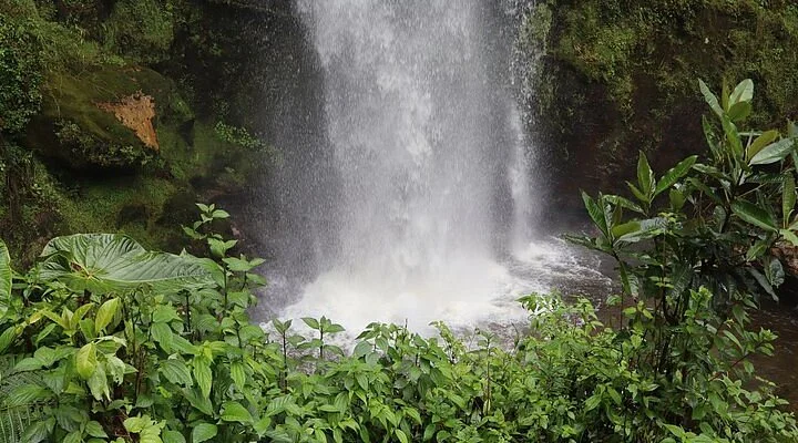 Parque General Gustavo Rojas Pinilla