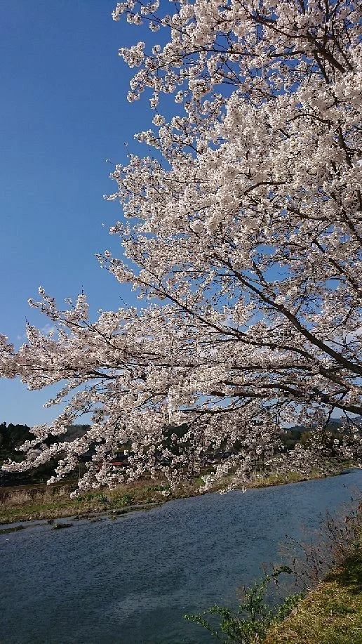 Daigono Sato Michi-no-Eki