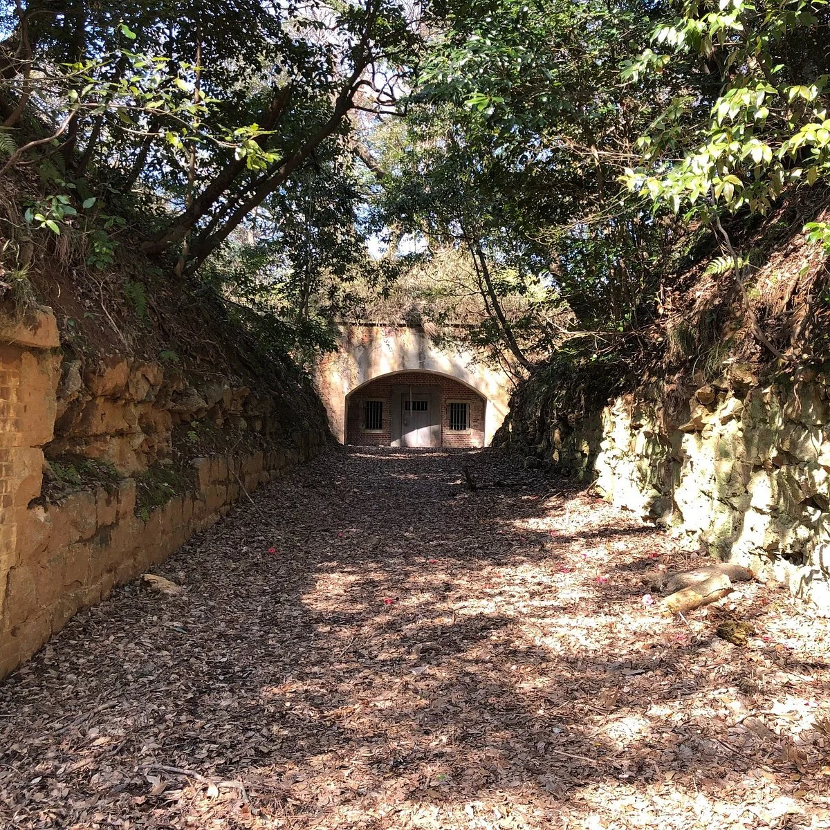 Ashiya Trunk of a Battery