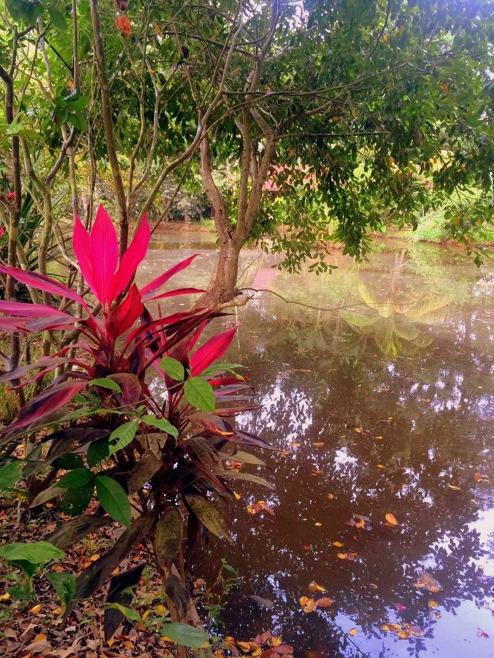 Jardin Botanico Bio-Kuka